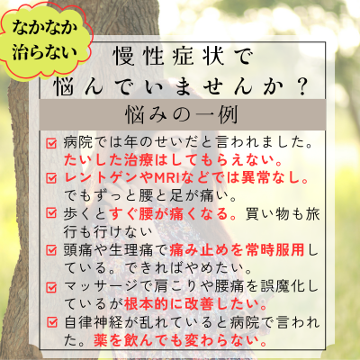 なかなか治らない慢性症状で悩んでいませんか?
病院では年のせいと言われ、たいした治療はしてもらえない
レントゲンもMRIなどでは異常はないが、ずっと腰から足が痛い
歩くとすぐに腰が痛くなる。買い物も旅行も億劫になる
頭痛や生理痛で痛み止めを常用しているのをやめたい
マッサージで肩こり腰痛を誤魔化しているが、根本的に改善したい
自律神経が乱れていると病院で言われ薬を飲んでいるが変わらない